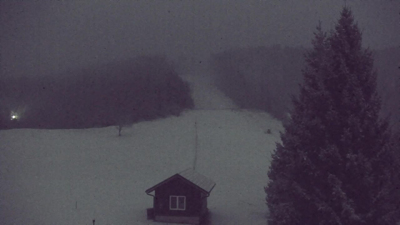 Webcam Loqua / Lokve – La bellezza della selva di Tarnova