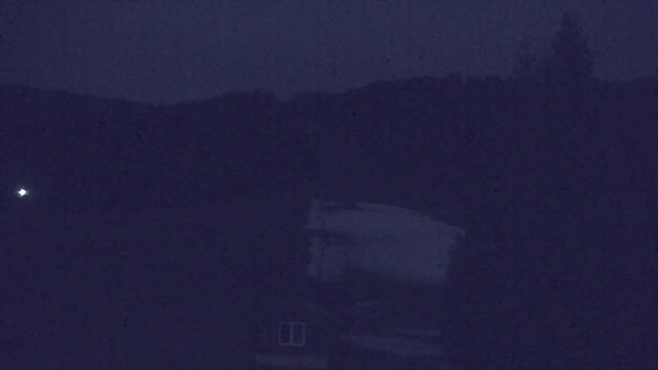 Webcam Lokve – The beauty of the Trnovo forest