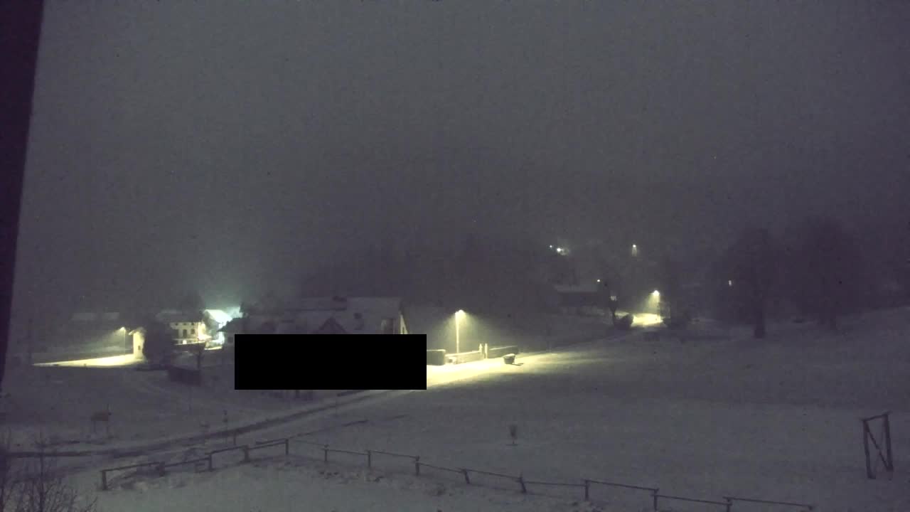 Webcam Lokve – La beauté de la forêt de Trnovo