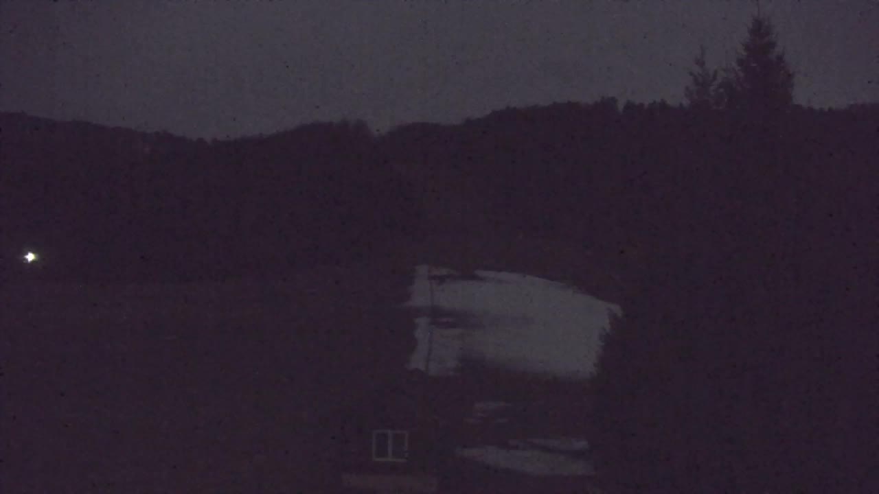 Webcam Lokve – Die Schönheit des Trnovo-Waldes