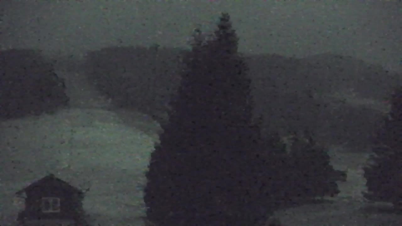 Web kamera Lokve – Ljepota Trnovske šume