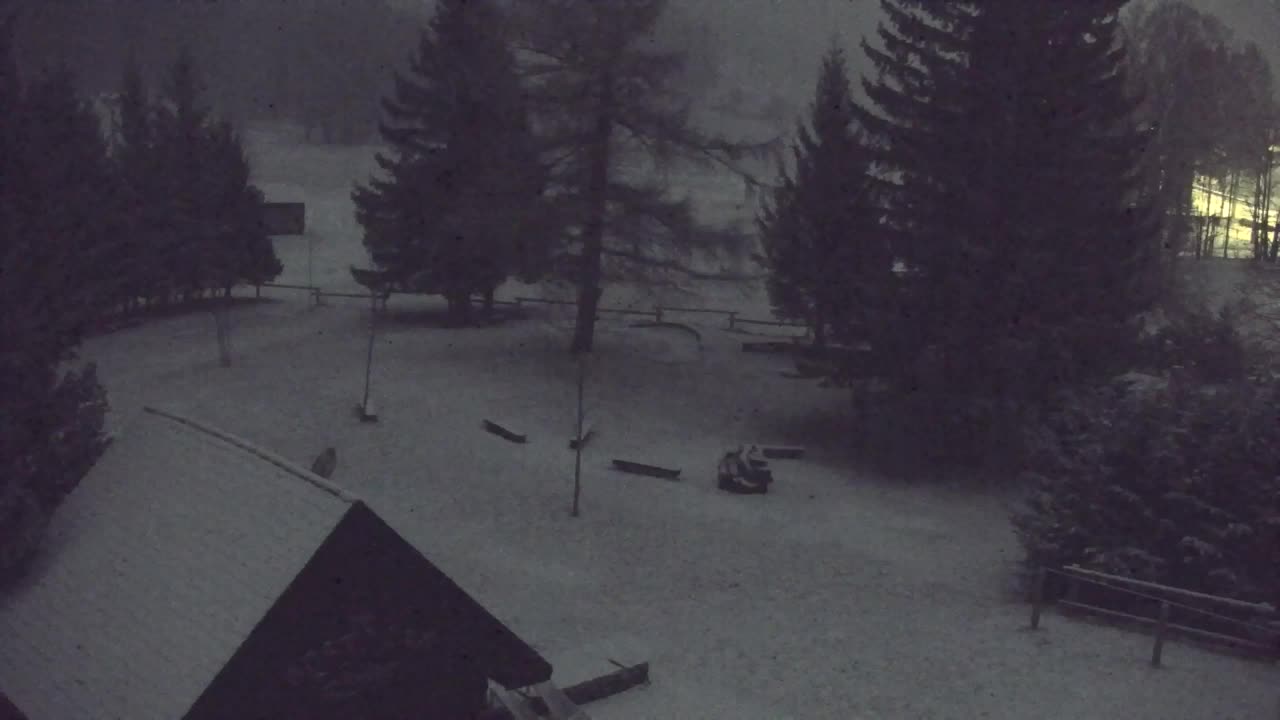 Webcam Lokve – The beauty of the Trnovo forest