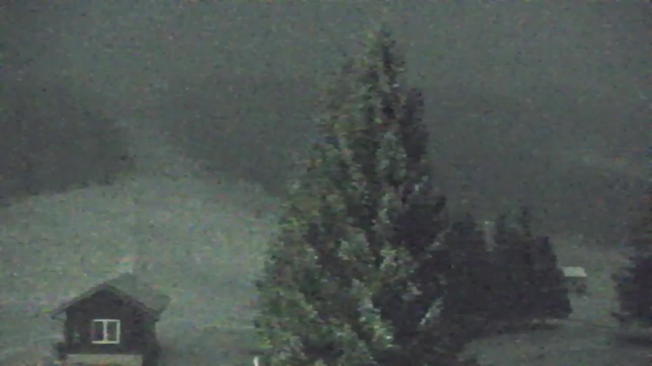 Webcam Loqua / Lokve – La bellezza della selva di Tarnova