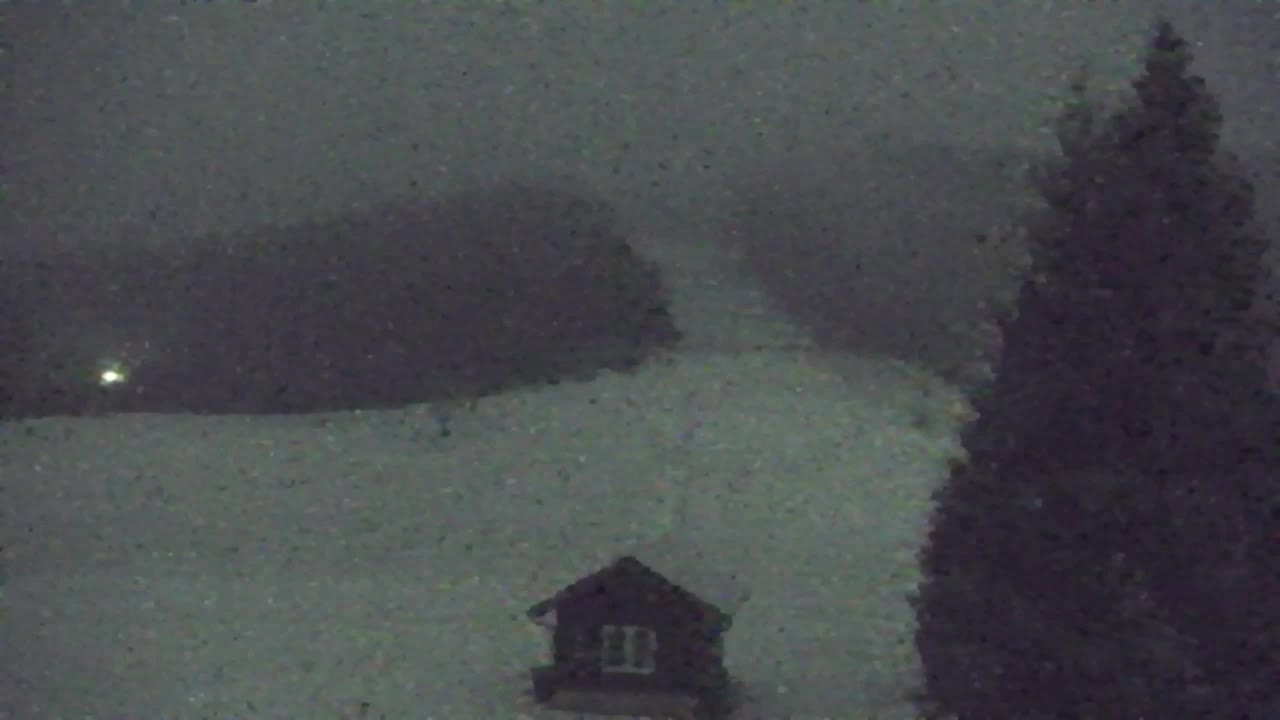 Webcam Loqua / Lokve – La bellezza della selva di Tarnova