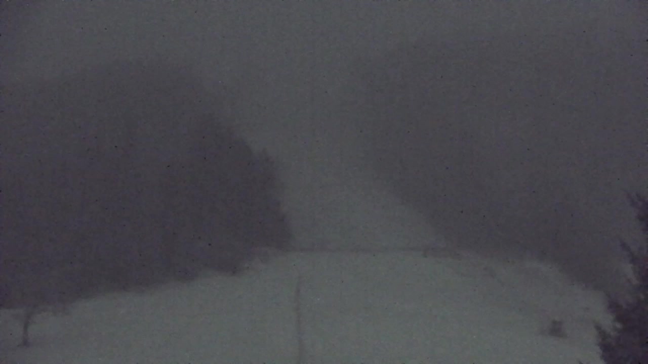 Webcam Lokve – The beauty of the Trnovo forest