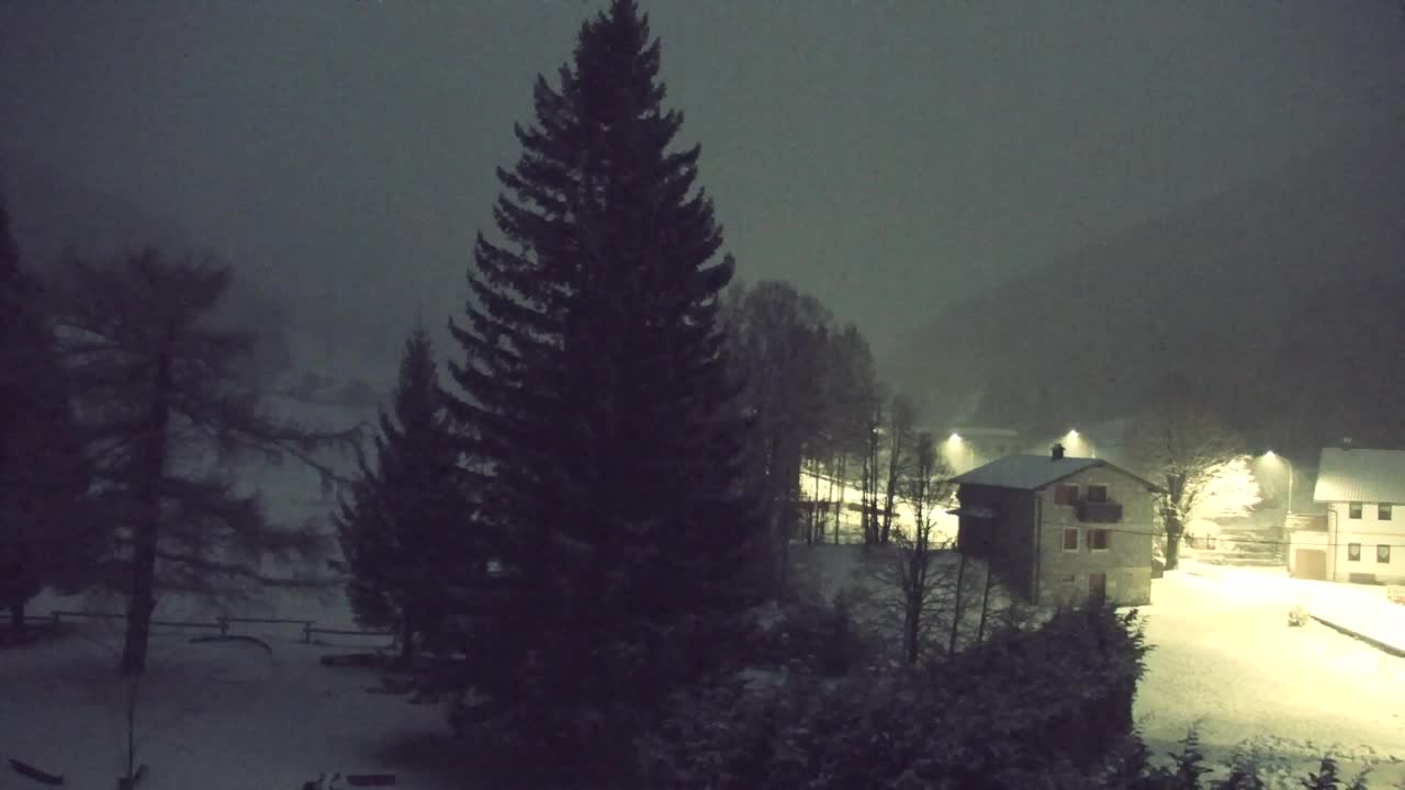 Webcam Lokve – The beauty of the Trnovo forest