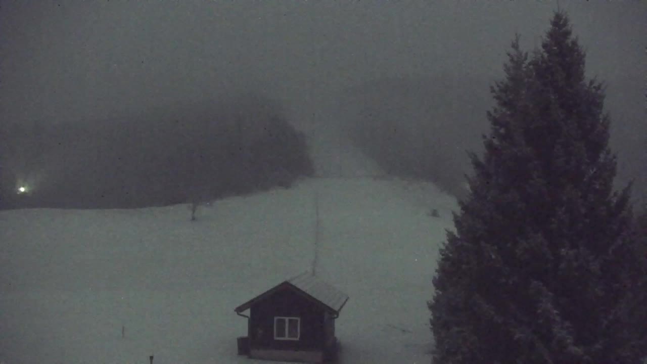 Webcam Lokve – The beauty of the Trnovo forest