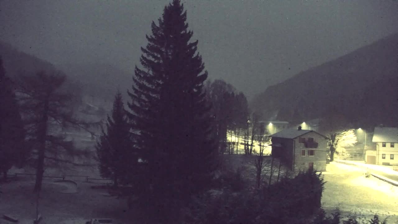 Webcam Lokve – Die Schönheit des Trnovo-Waldes