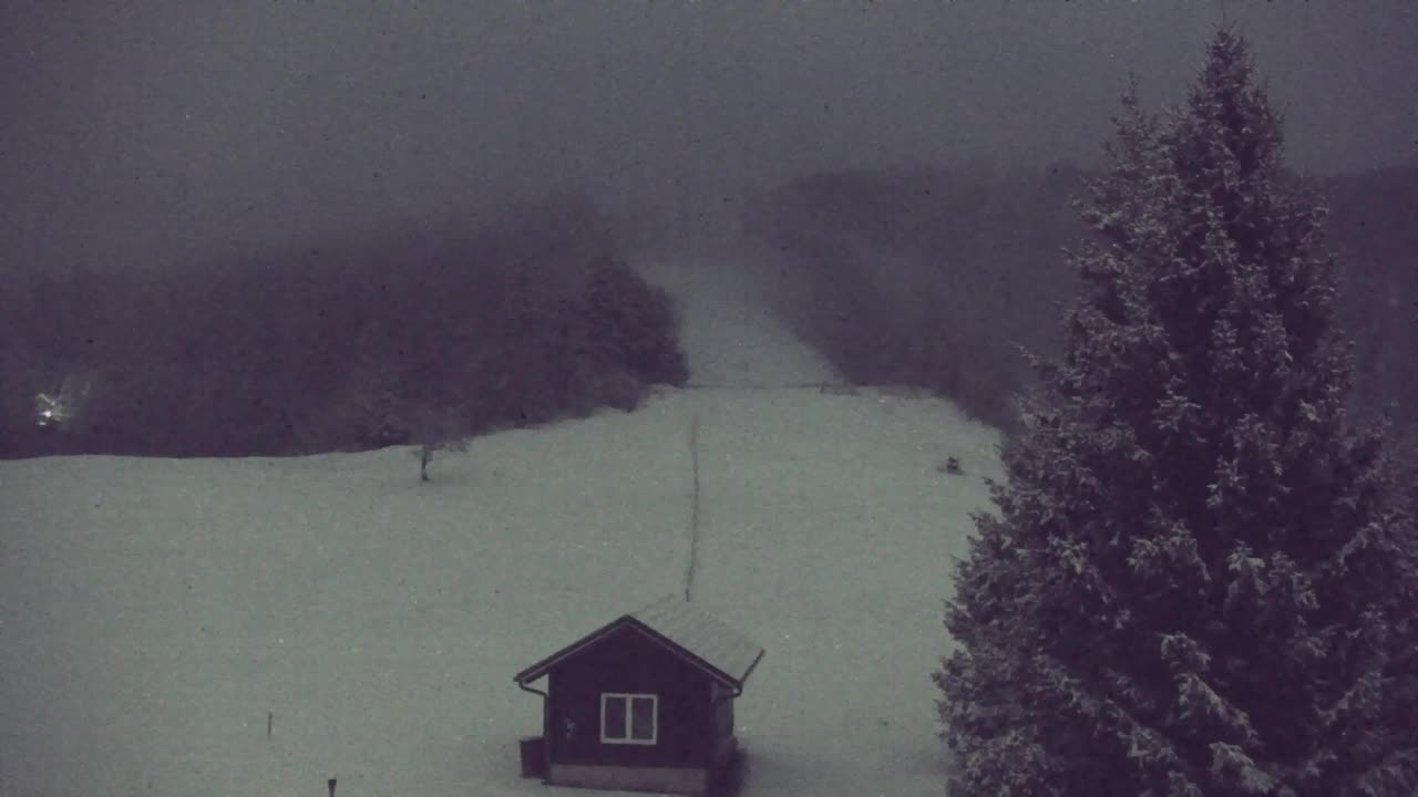 Web kamera Lokve – Ljepota Trnovske šume