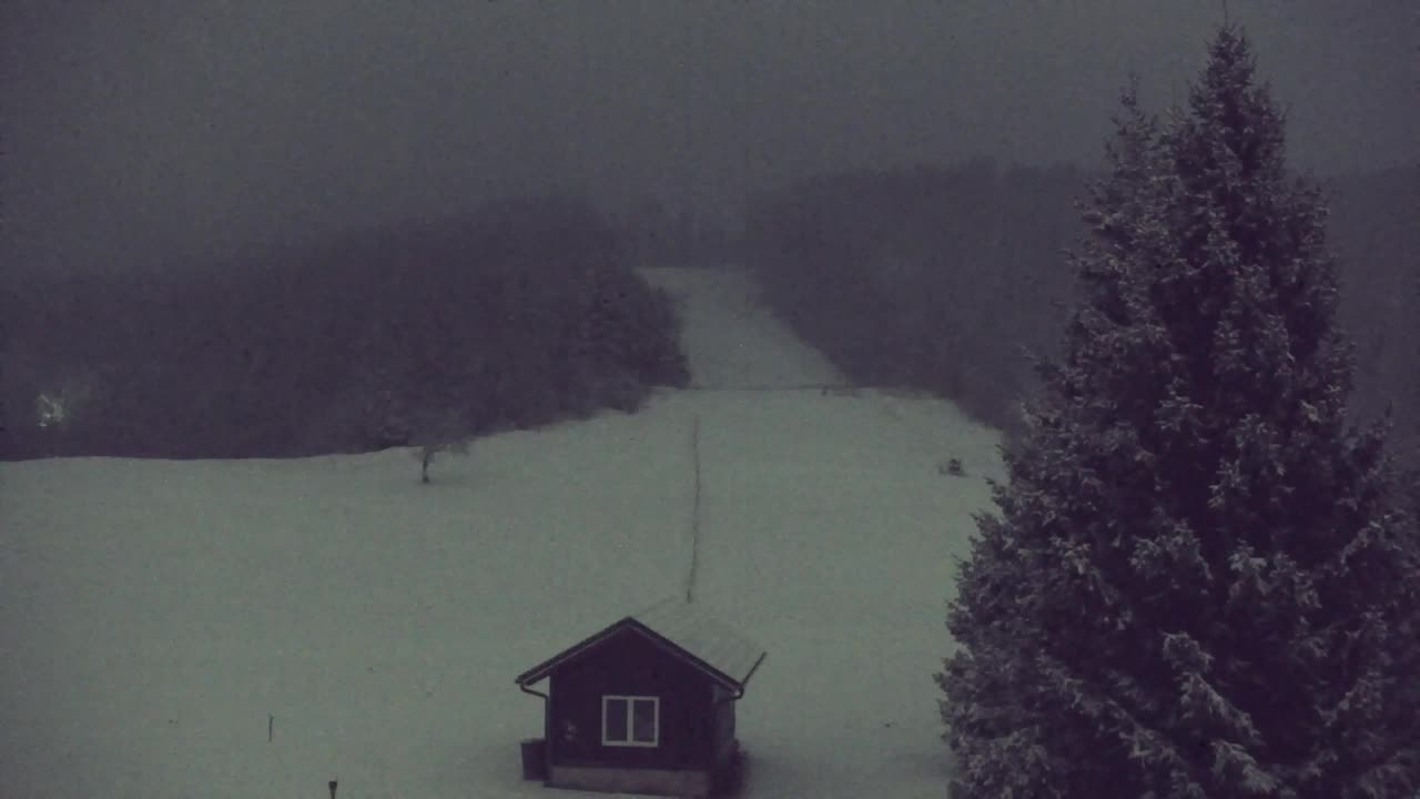 Webcam Lokve – The beauty of the Trnovo forest