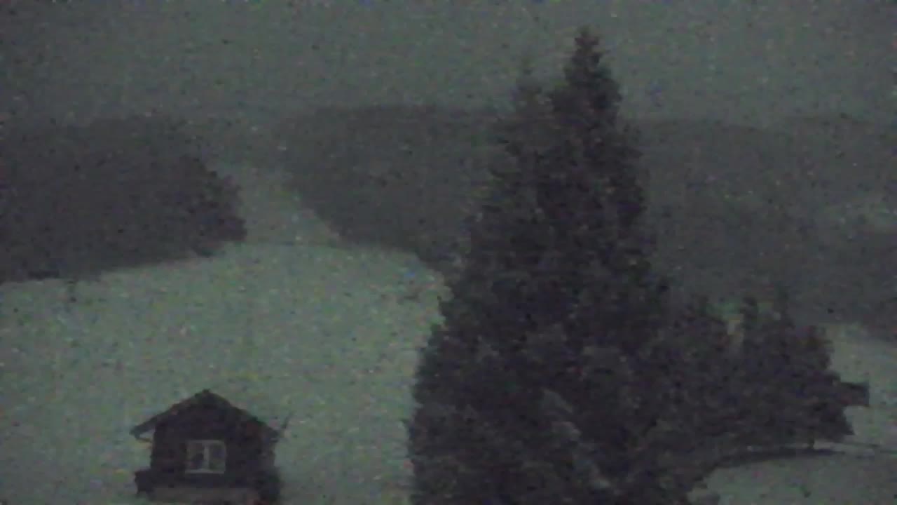 Webcam Lokve – The beauty of the Trnovo forest