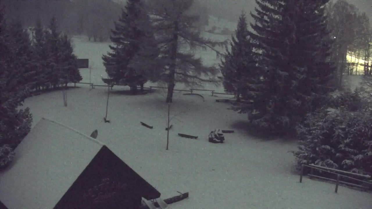 Webcam Lokve – The beauty of the Trnovo forest