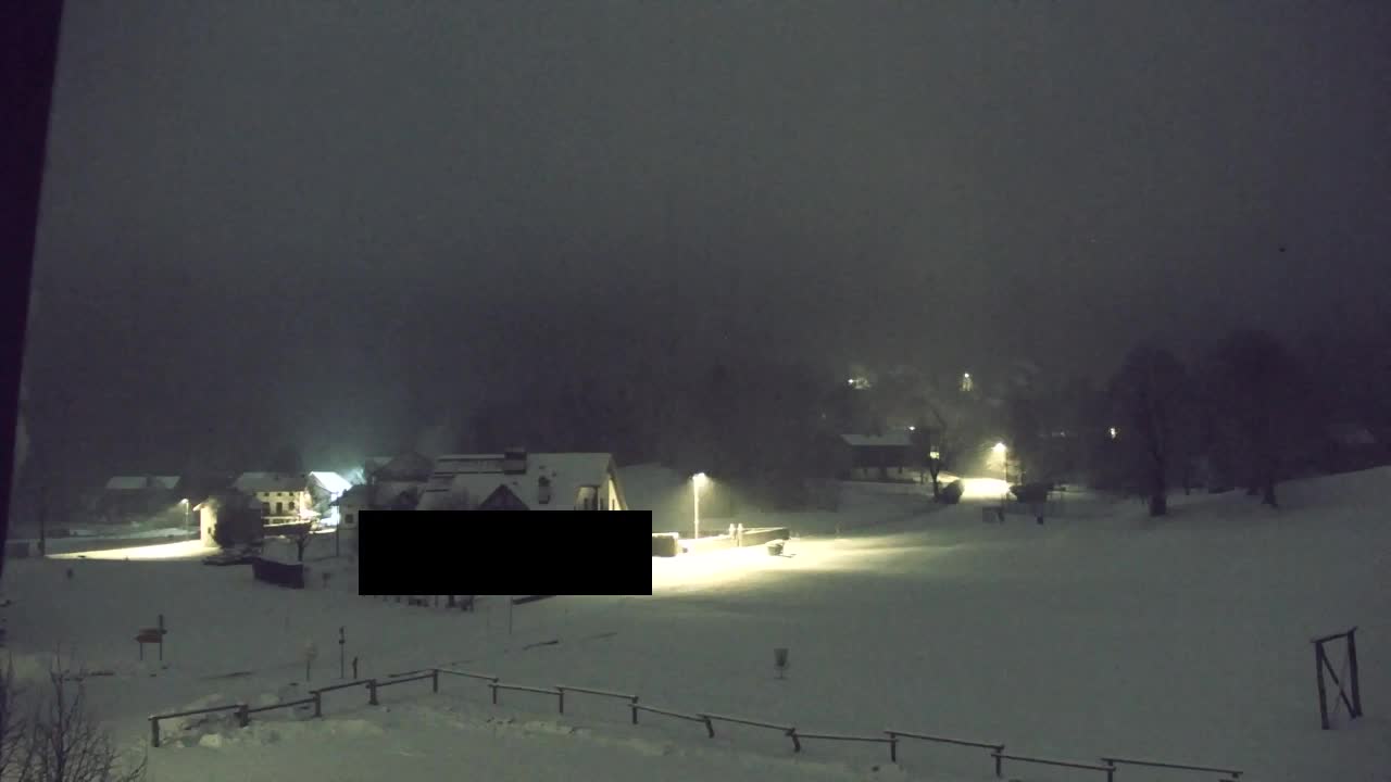 Webcam Loqua / Lokve – La bellezza della selva di Tarnova