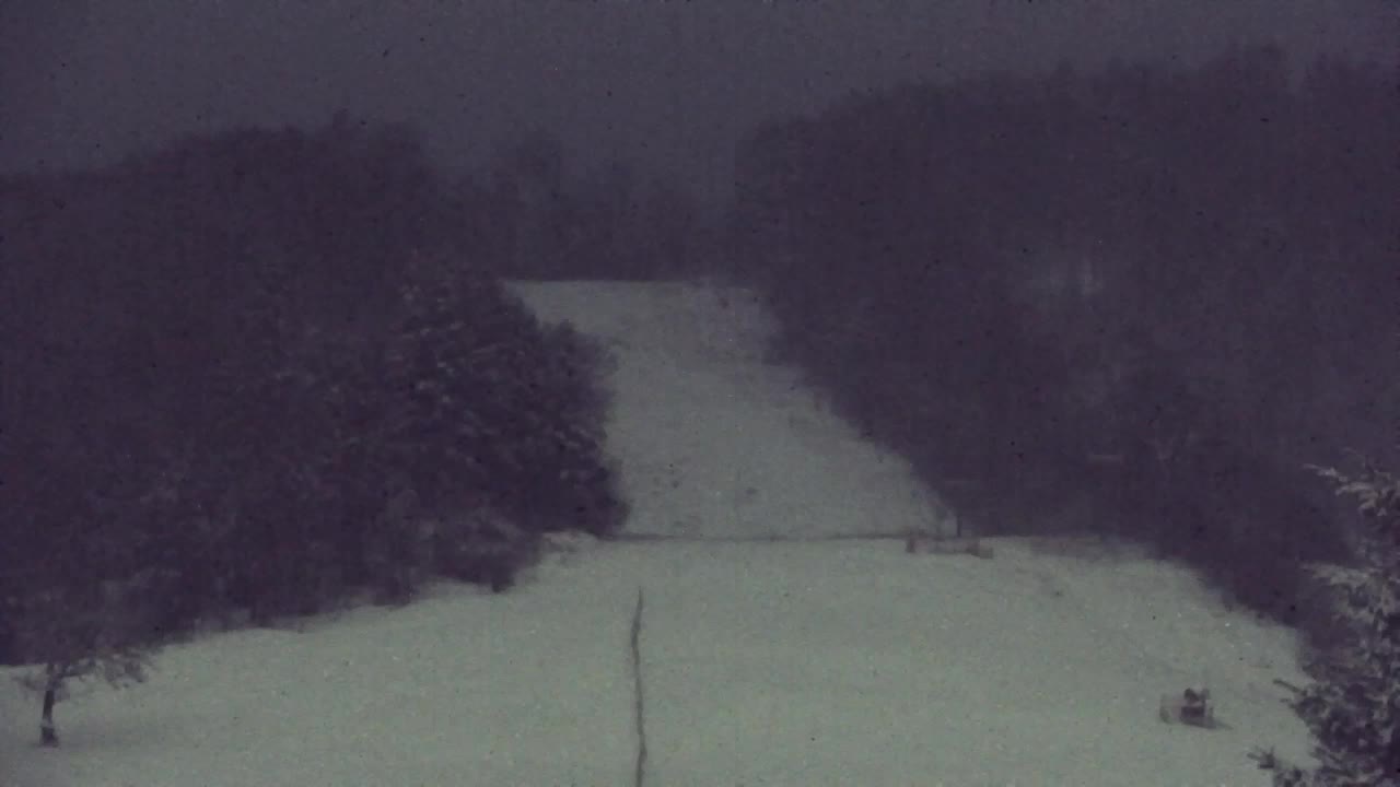 Webcam Lokve – La beauté de la forêt de Trnovo