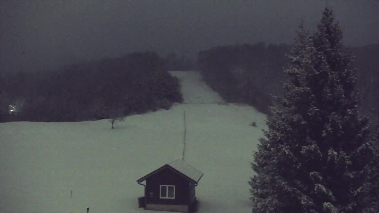 Webcam Loqua / Lokve – La bellezza della selva di Tarnova