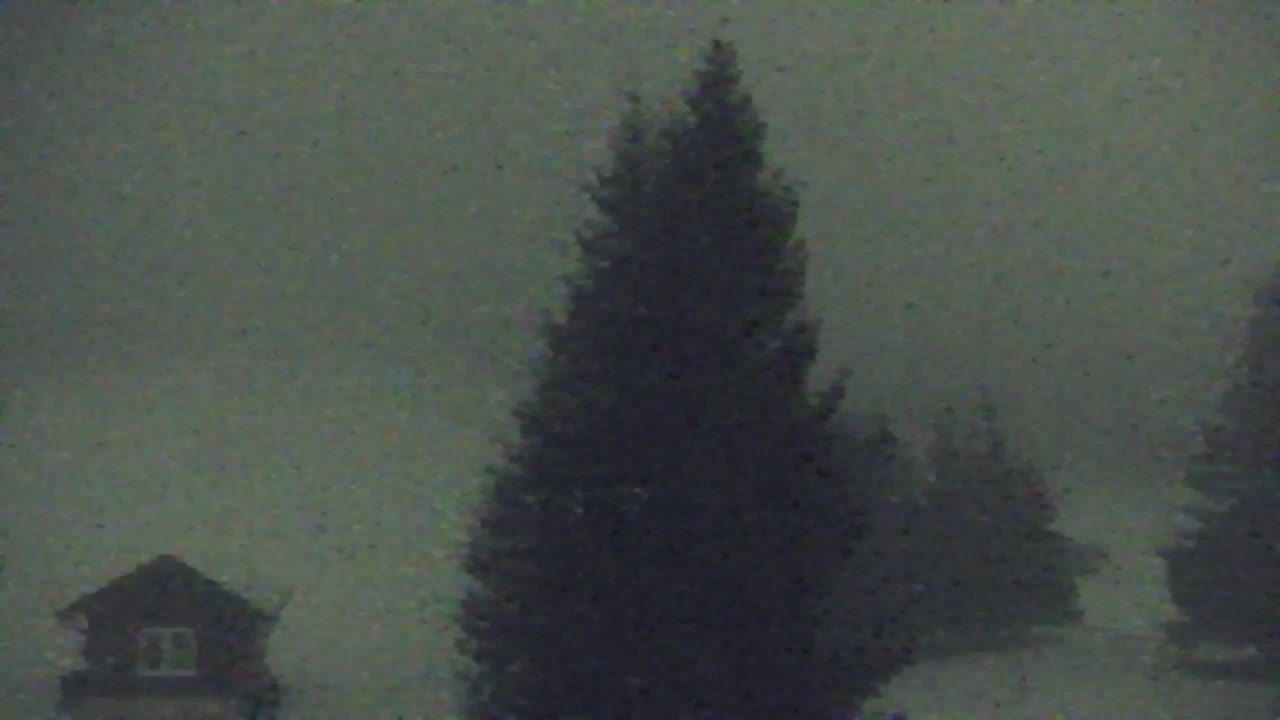 Webcam Lokve – The beauty of the Trnovo forest