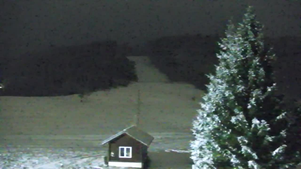 Webcam Lokve – Die Schönheit des Trnovo-Waldes