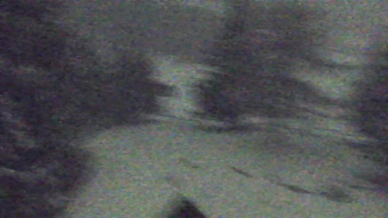 Webcam Lokve – La beauté de la forêt de Trnovo