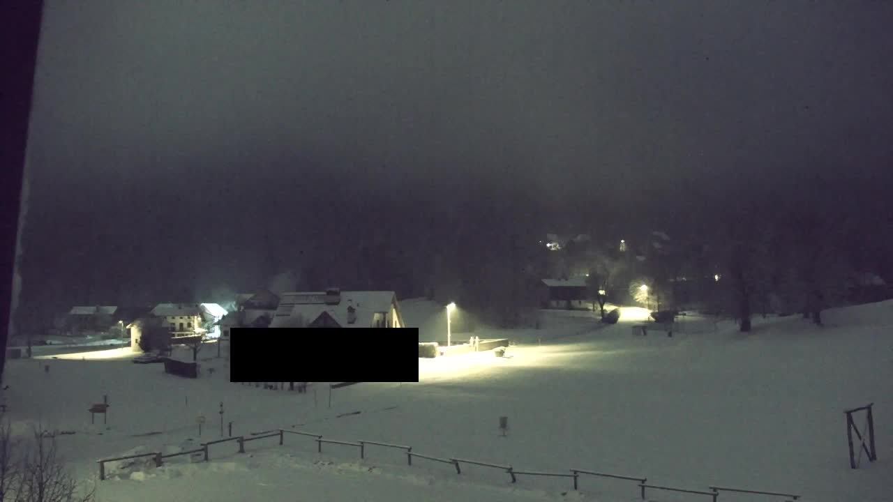 Webcam Loqua / Lokve – La bellezza della selva di Tarnova