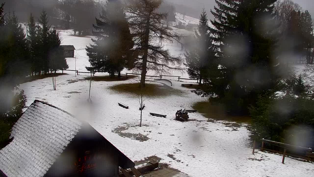 Webcam Loqua / Lokve – La bellezza della selva di Tarnova