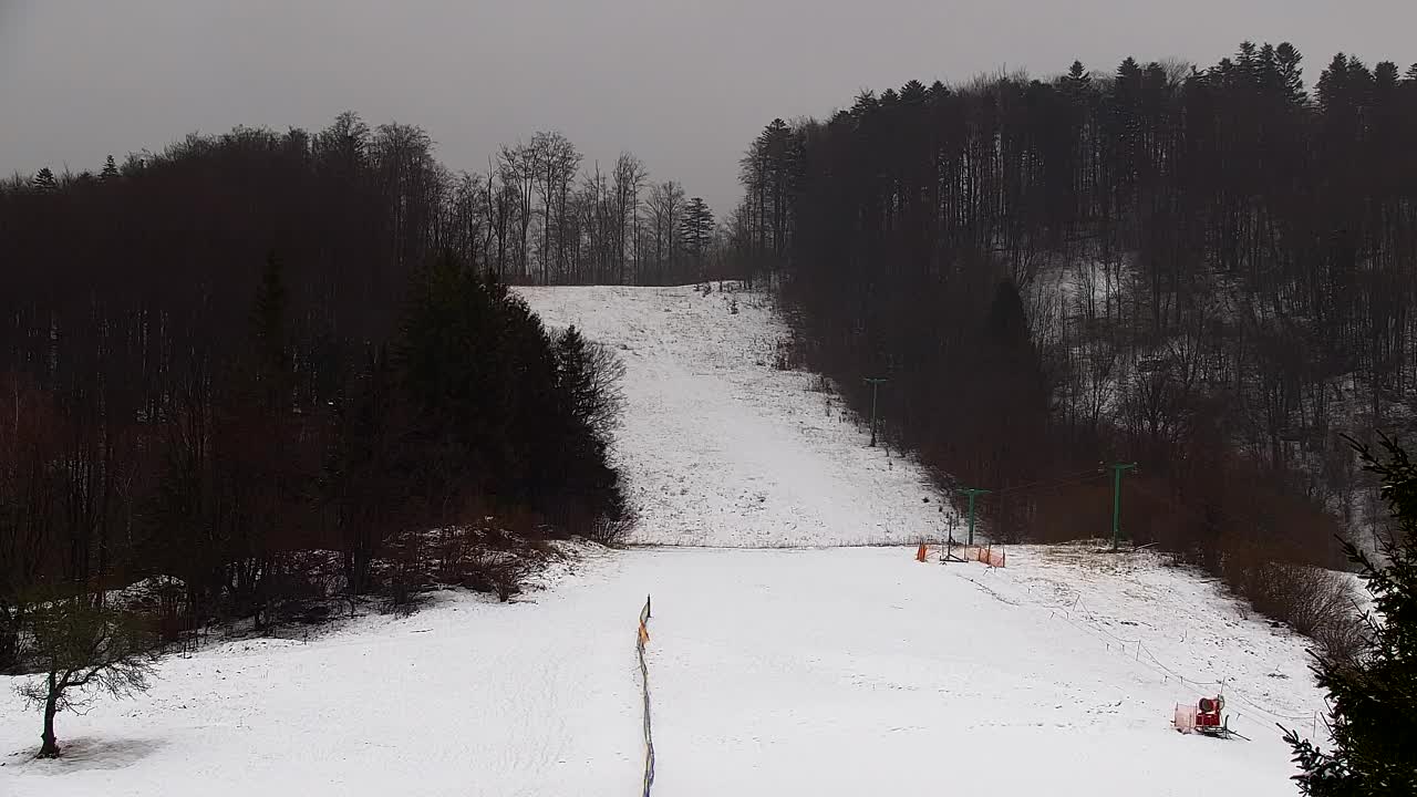 Webcam Lokve – The beauty of the Trnovo forest