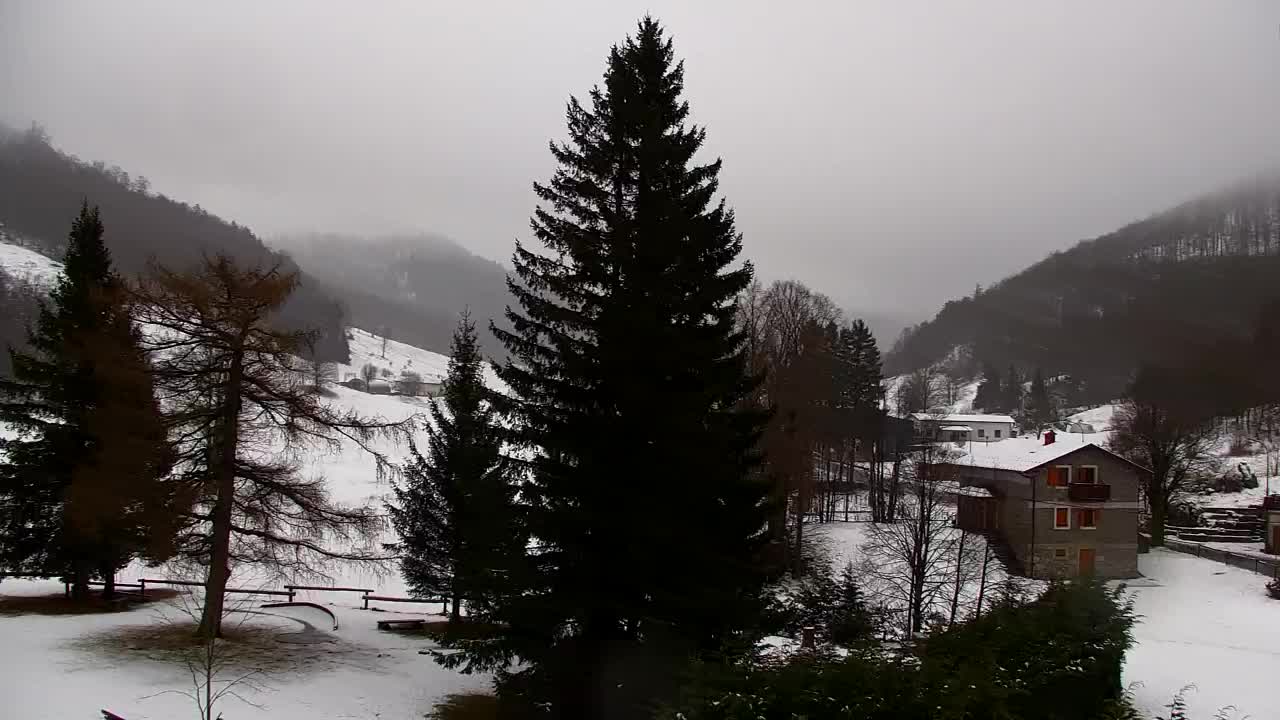 Webcam Loqua / Lokve – La bellezza della selva di Tarnova