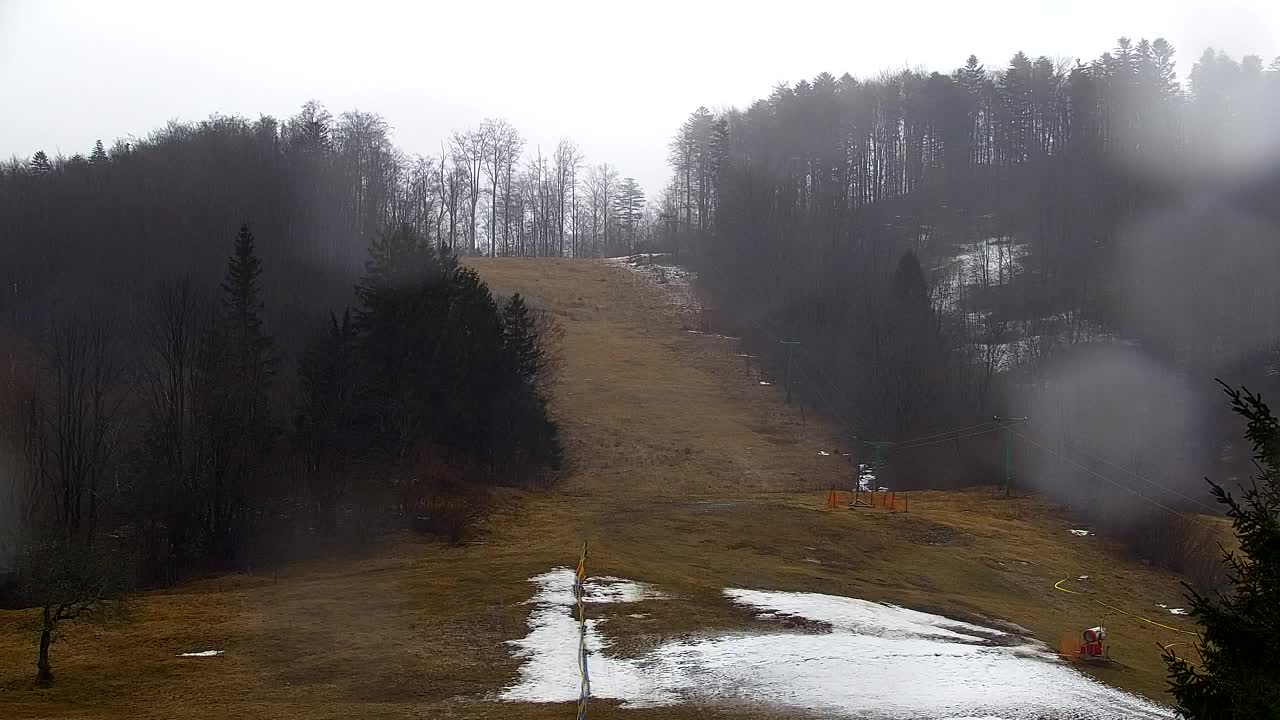 Webcam Lokve – La beauté de la forêt de Trnovo