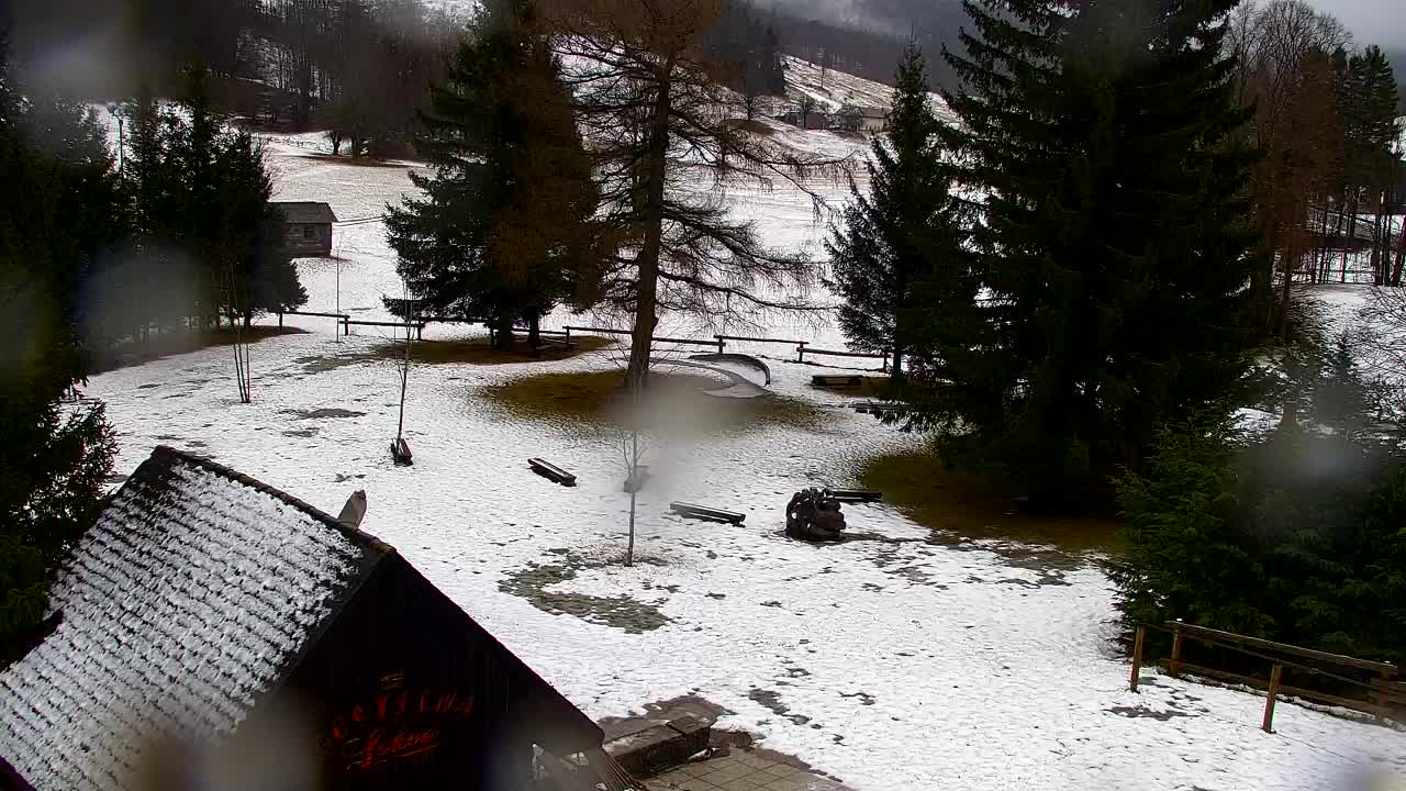 Webcam Loqua / Lokve – La bellezza della selva di Tarnova