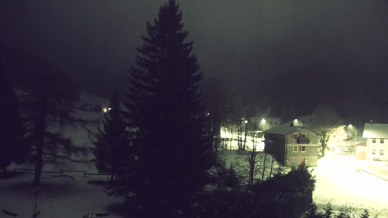 Webcam Lokve – La beauté de la forêt de Trnovo