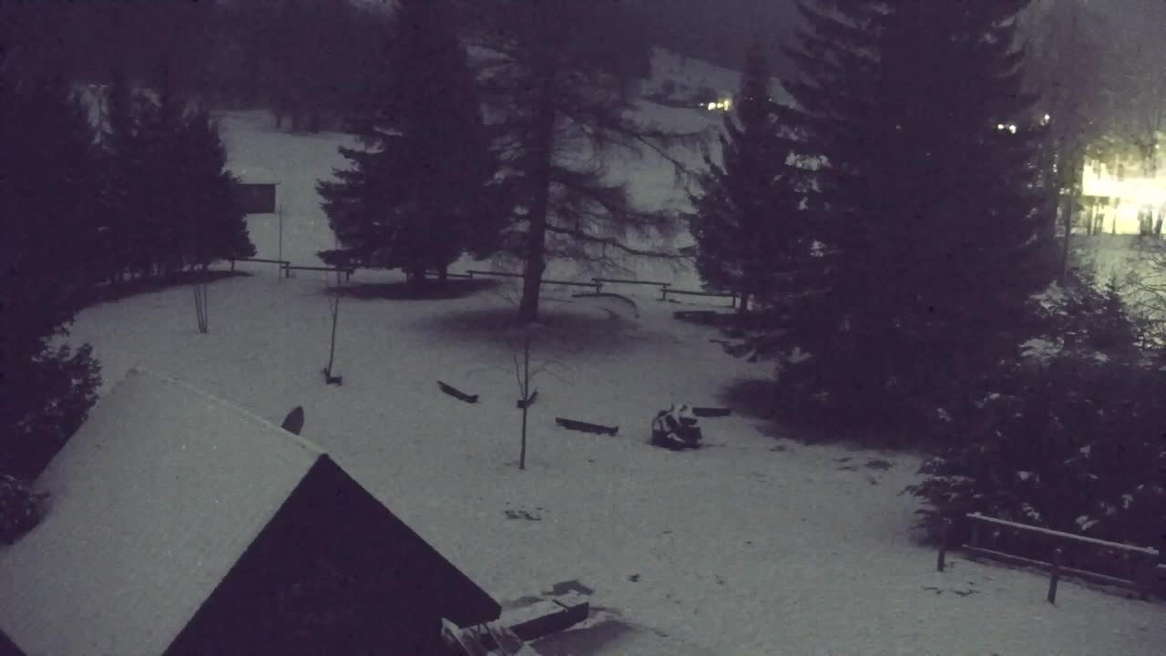 Camera en vivo Lokve – La belleza del bosque de Trnovo