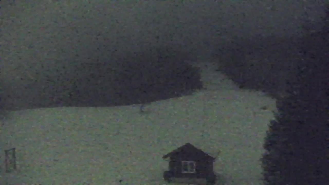 Camera en vivo Lokve – La belleza del bosque de Trnovo