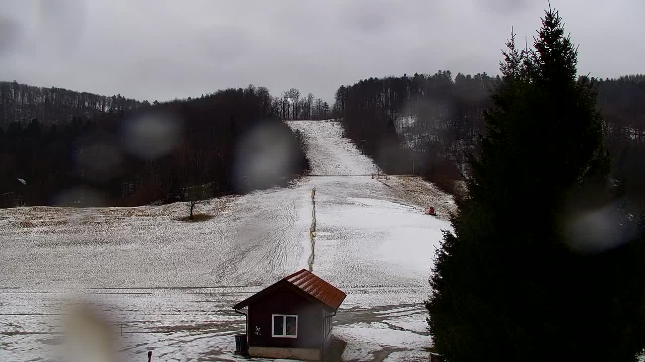 Webcam Loqua / Lokve – La bellezza della selva di Tarnova