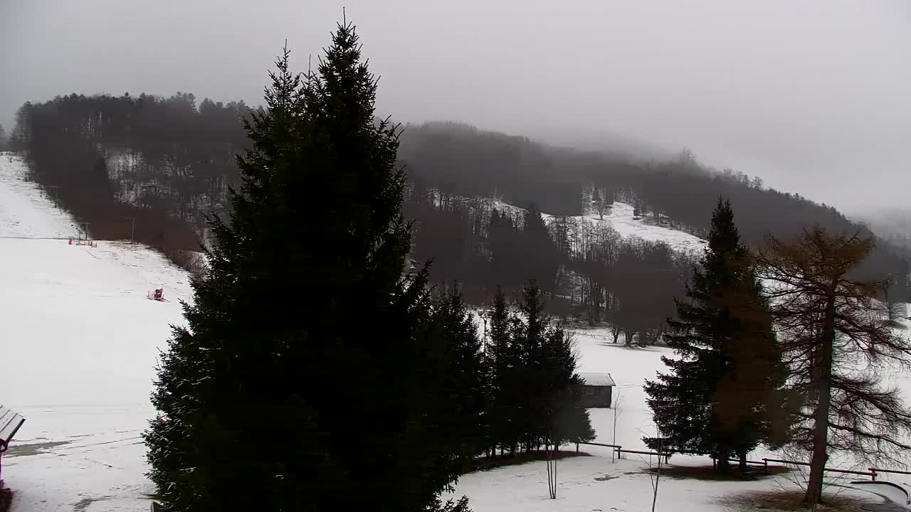 Webcam Lokve – La beauté de la forêt de Trnovo