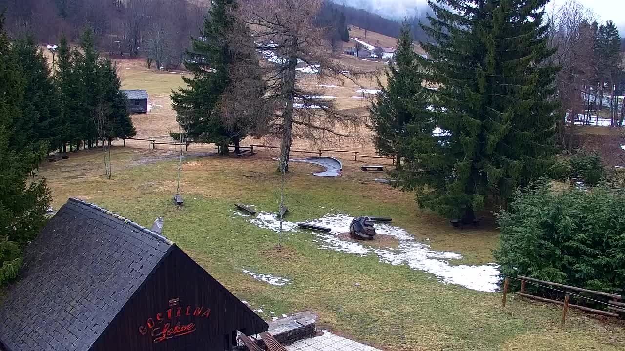 Web kamera Lokve – Ljepota Trnovske šume