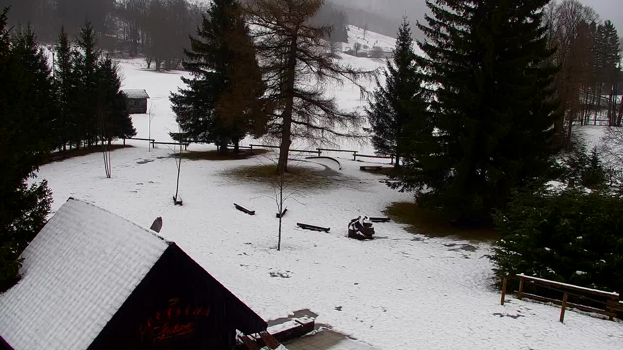 Webcam Loqua / Lokve – La bellezza della selva di Tarnova