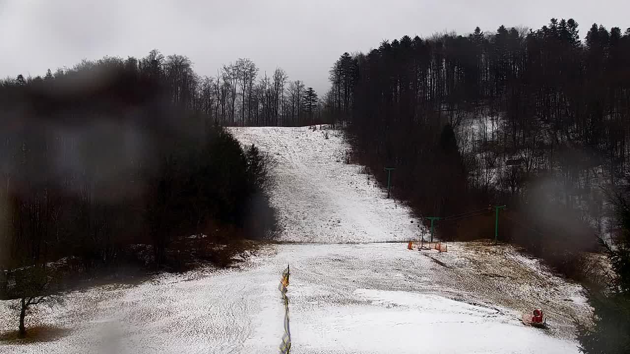Lokve kamera – Naravne lepote Trnovskega gozda