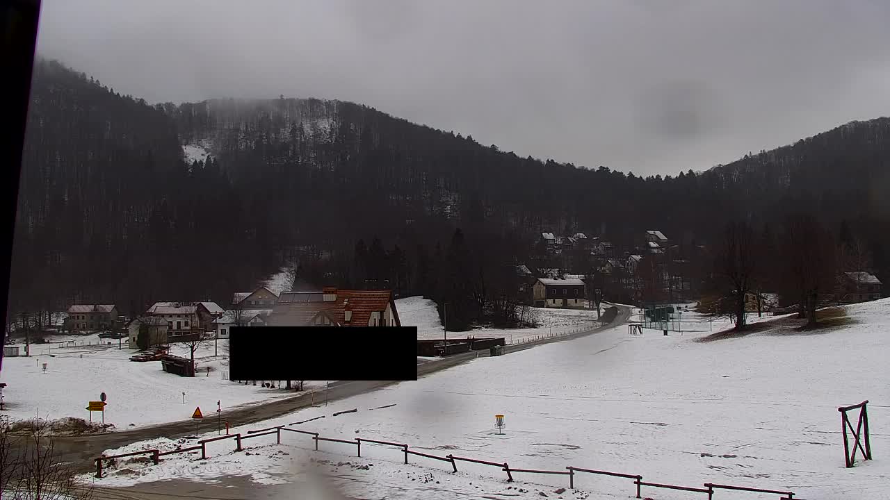 Webcam Loqua / Lokve – La bellezza della selva di Tarnova