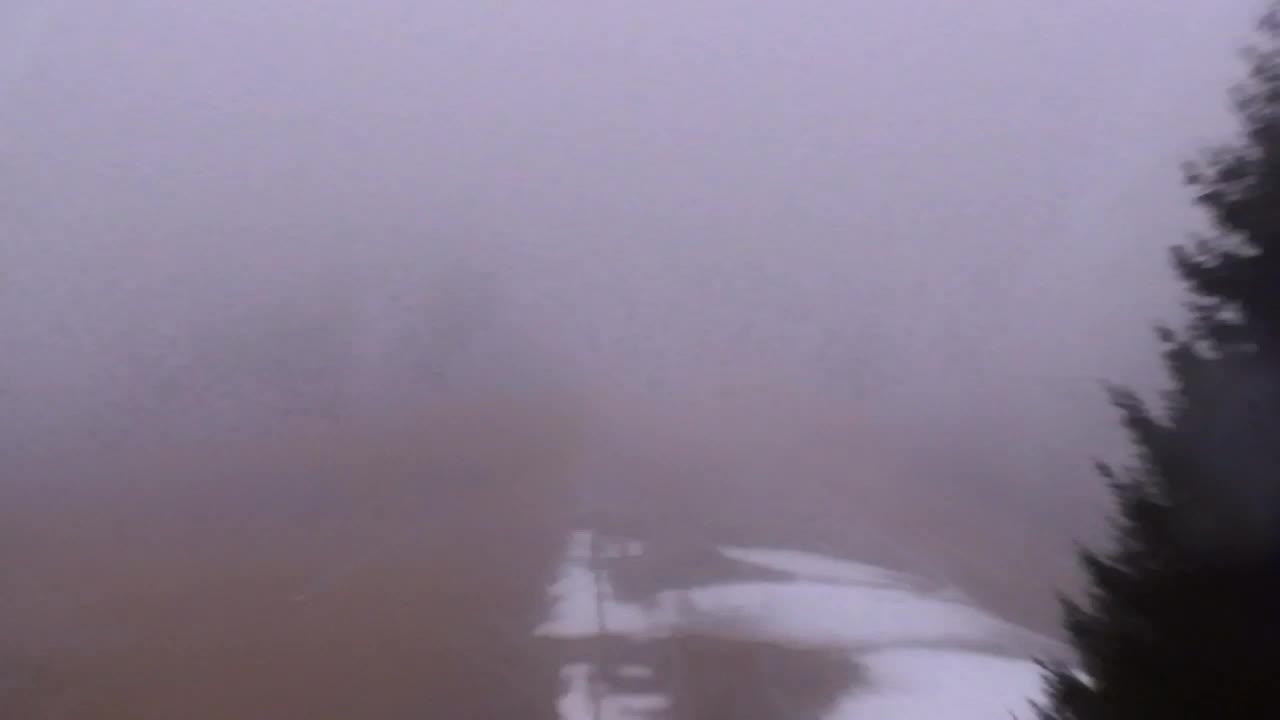 Webcam Lokve – La beauté de la forêt de Trnovo