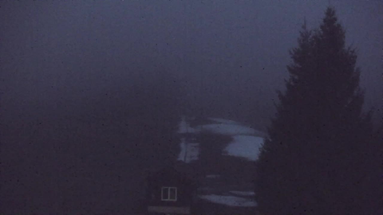 Webcam Lokve – The beauty of the Trnovo forest