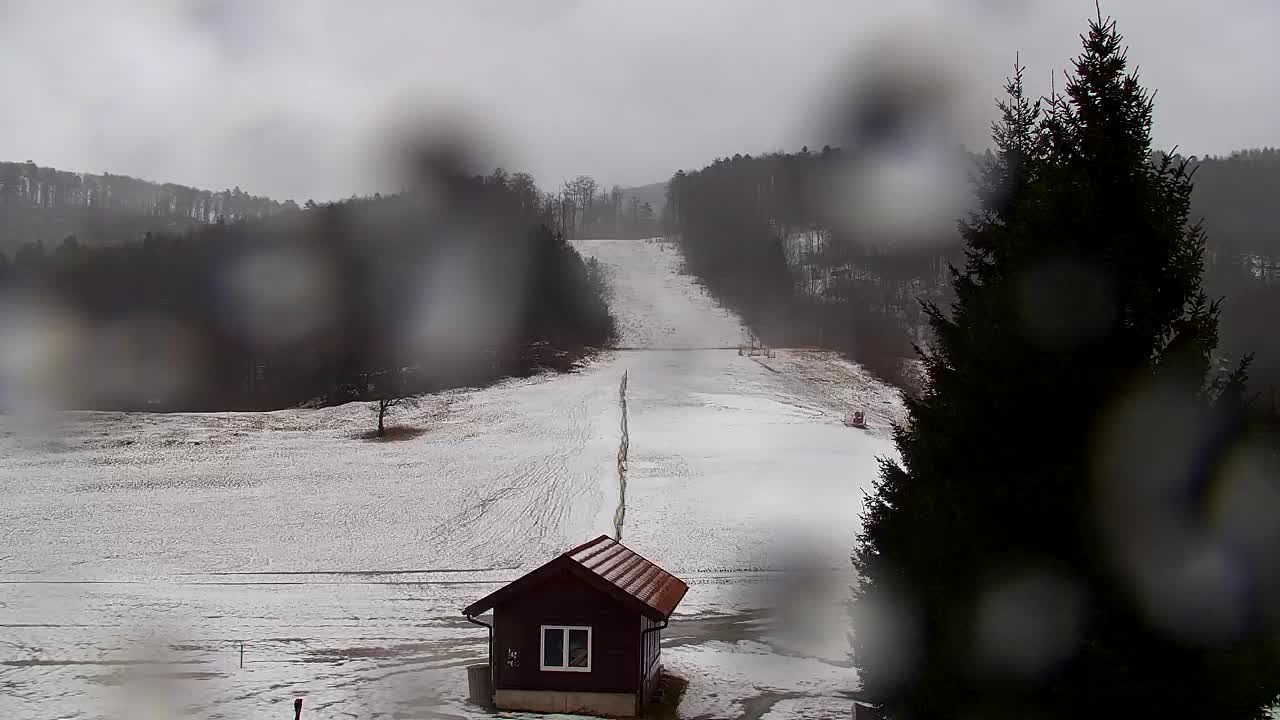 Webcam Loqua / Lokve – La bellezza della selva di Tarnova