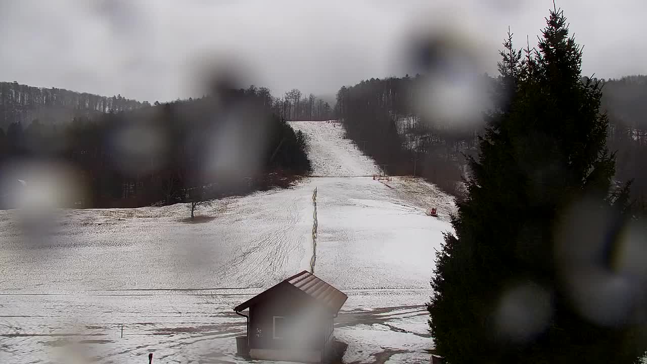 Webcam Loqua / Lokve – La bellezza della selva di Tarnova