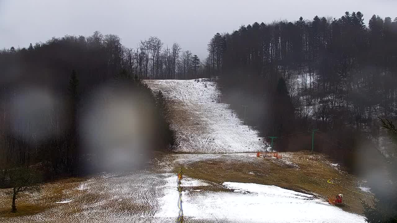 Webcam Lokve – The beauty of the Trnovo forest