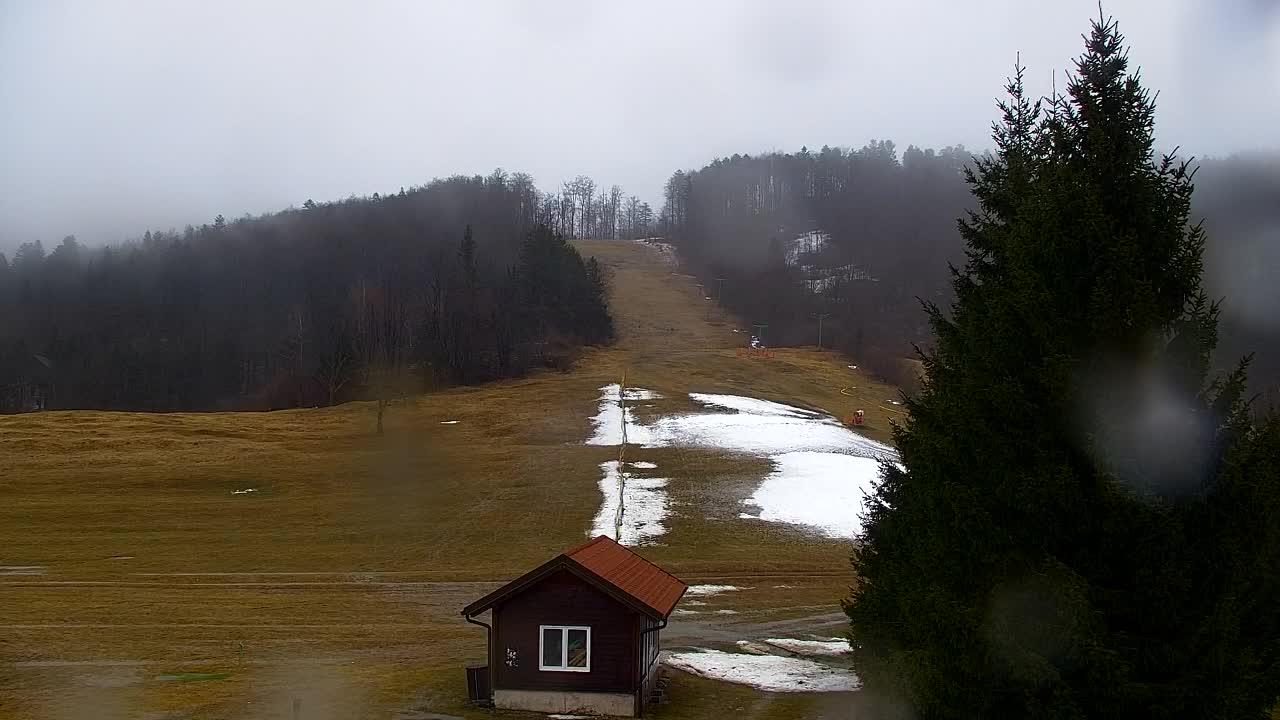 Webcam Lokve – The beauty of the Trnovo forest