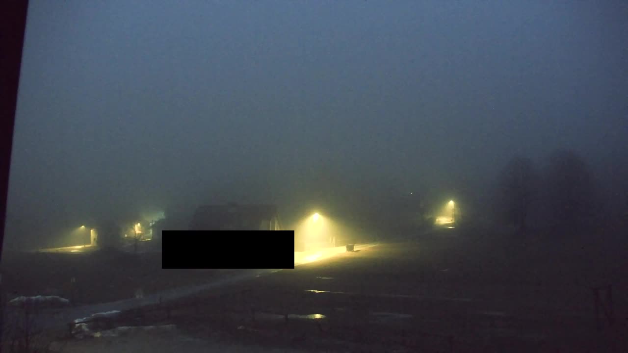 Webcam Loqua / Lokve – La bellezza della selva di Tarnova