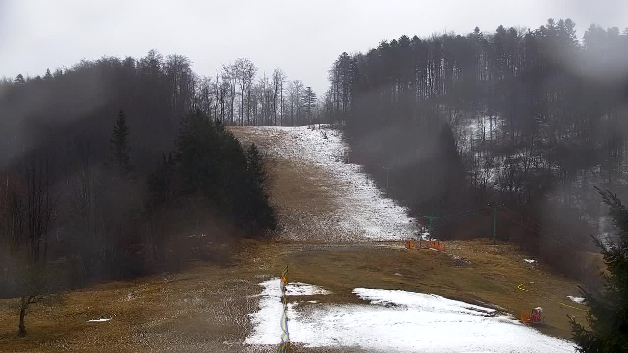 Webcam Lokve – La beauté de la forêt de Trnovo