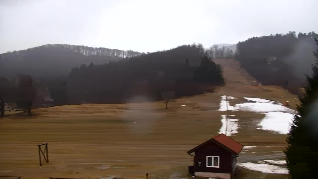 Webcam Lokve – La beauté de la forêt de Trnovo