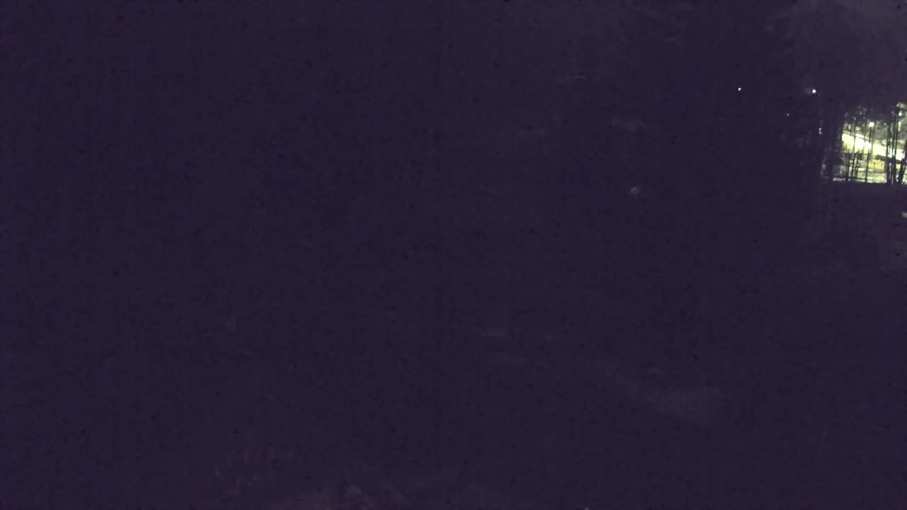 Webcam Lokve – La beauté de la forêt de Trnovo