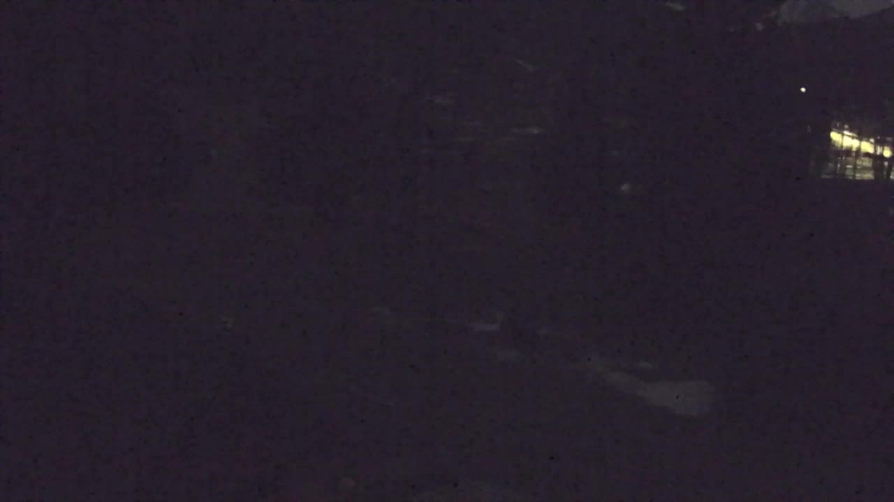 Webcam Loqua / Lokve – La bellezza della selva di Tarnova