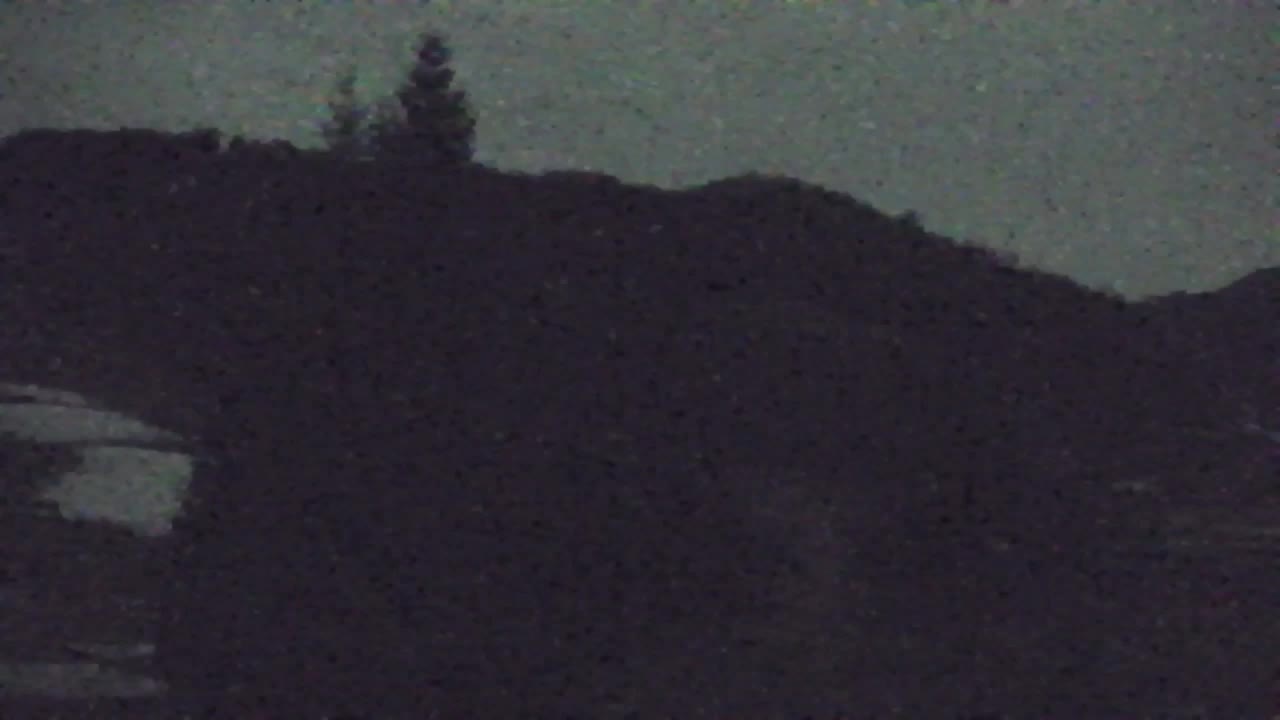 Webcam Lokve – La beauté de la forêt de Trnovo