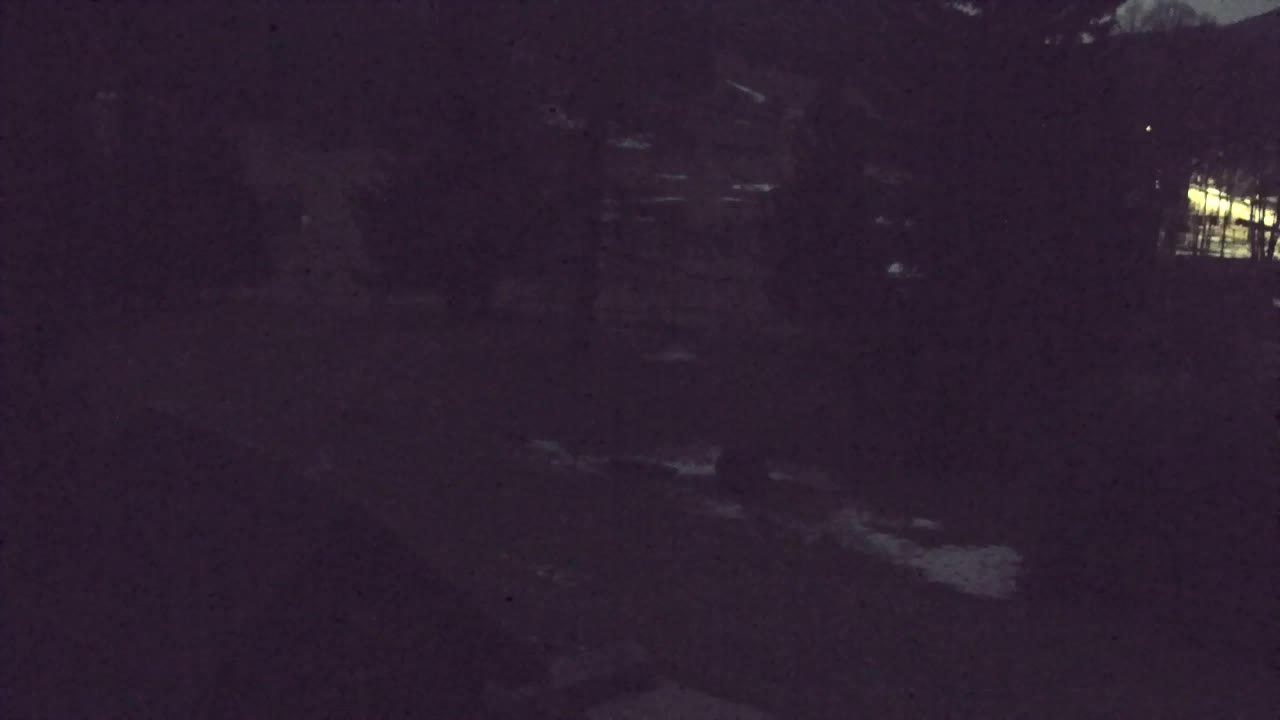 Lokve kamera – Naravne lepote Trnovskega gozda